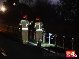 Potrącenie pieszej w Kędzierzynie-Koźlu. 46-letnia kobieta nie żyje