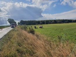 Wypadek w powiecie oleskim. Auto dachowało poza drogą