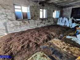 Walka z przestępczością tytoniową ogranicza szarą strefę