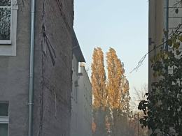 Runęła część ściany kamienicy. Strażacy przeszukiwali gruzowisko