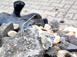 Granica: Cudzoziemcy opuścili obozowisko i przenieśli się w nieznane miejsce