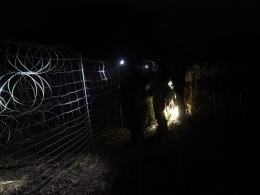 Granica: Grupa około 100 migrantów została zatrzymana przez polskie służby