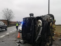 Dachowanie busa  w powiecie kluczborskim