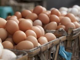 Salmonella na jajkach z popularnego marketu. Wyrzuć je do kosza
