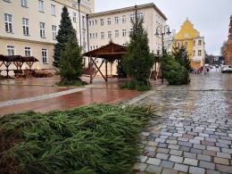 Tegoroczny Jarmark Bożonarodzeniowy będzie jeszcze bardziej obfity w atrakcje