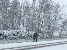 Groteskowa sytuacja na drodze. Drogowcy kosili trawę w śniegu