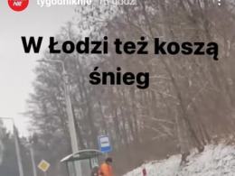 Groteskowa sytuacja na drodze. Drogowcy kosili trawę w śniegu