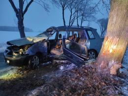 Kierująca mazdą zderzyła się ze zwierzyną i wjechała w przydrożne drzewo