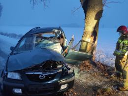 Kierująca mazdą zderzyła się ze zwierzyną i wjechała w przydrożne drzewo