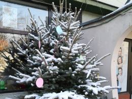 Choinka w Talentowni nadal pełna życzeń. O czym marzą samotni i najmłodsi?