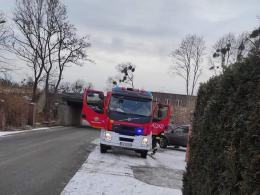 Udana akcja strażaków. Uratowali sarnę, która wpadła do silosu