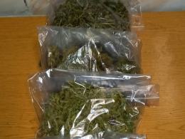 Kryminalni przejęli pół kilograma narkotyków