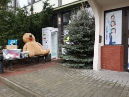 Piotr Koziol: Dlaczego w mieście Opolu niszczy się takie inicjatywy?