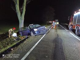 Wypadek na DK11. Opel uderzył w drzewo