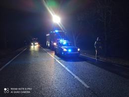 Wypadek na DK11. Opel uderzył w drzewo
