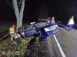 Wypadek na DK11. Opel uderzył w drzewo