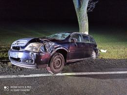 Wypadek na DK11. Opel uderzył w drzewo
