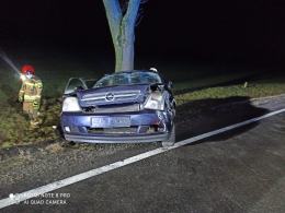 Wypadek na DK11. Opel uderzył w drzewo