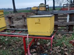 Tysiące pszczół zginęło. Ktoś "przewietrzył" ule w pasiece w powiecie brzeskim