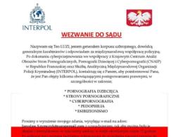 Oskarżają o pedofilię, blokują komputer i żądają okupu