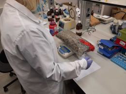 Przewozili ponad 50 kilogramów narkotyków w busie