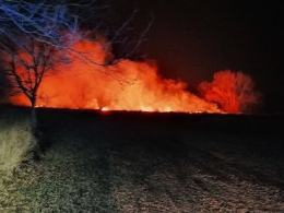 Dwa zastępy straży walczyły z pożarem traw w Lipkach
