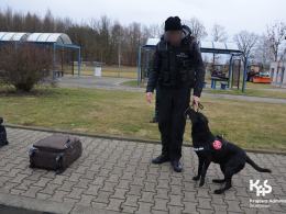 Marihuana i amfetamina znaleziona w kontrolowanych pojazdach na A4