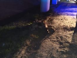 BMW uderzyło w zwierzę. Niebezpieczne zdarzenie w powiecie strzeleckim