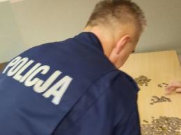 Chciał ukryć się przed policjantami w krzakach
