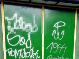28-letni wandal odpowie przed sądem