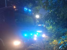 Pożar młodnika w powiecie kędzierzyńsko-kozielskim. To sprawka podpalacza