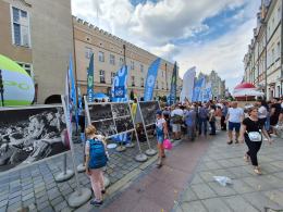 W mieście czuć festiwal