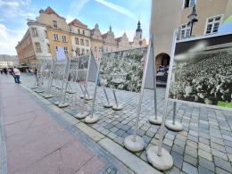 W mieście czuć festiwal