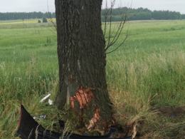 Kierowca citroena uderzył w drzewo. Niebezpieczne zdarzenie na DK 42