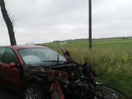 Kierowca citroena uderzył w drzewo. Niebezpieczne zdarzenie na DK 42