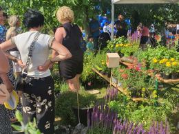 Sławice świętują 800 lecie urodzin
