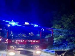 Zderzenie osobówki ze zwierzyną leśną na DK 46