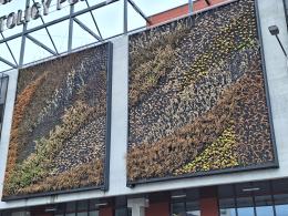 Powtórka sprzed roku. Zielona ściana na centrum przesiadkowym usycha