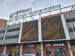 Powtórka sprzed roku. Zielona ściana na centrum przesiadkowym usycha