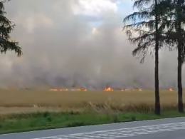 Pali się zboże w okolicach Byczyny. Działania straży utrudnia wiatr
