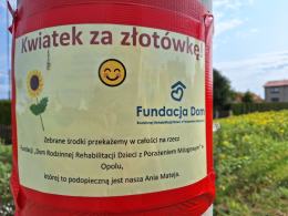 Samoobsługowy "sklep" ze słonecznikami w szczytnym celu