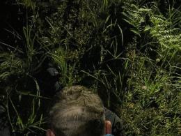 Policjanci zatrzymali na gorącym uczynku kradzieży torów kolejowych