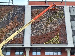 Trwa wymiana "zielonych ścian" na budynku Centrum Przesiadkowego Opole Główne