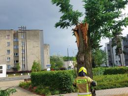 Ponad 50 interwencji strażaków na Opolszczyźnie po burzach