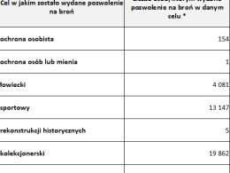 Twarde dane. Po wybuchu wojny w Ukrainie Polacy zaczęli się zbroić
