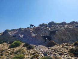 Itaka: Wyjazdy odbywają się nadal bez większych zmian, w tym na Rodos