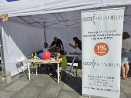 Trwa Piknik Organizacji Pozarządowych na Placu Kopernika