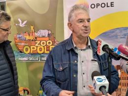 Trzy opolskie tygrysiątka mają się świetnie. Zoo czeka na propozycje imion