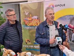 Trzy opolskie tygrysiątka mają się świetnie. Zoo czeka na propozycje imion
