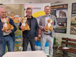 Trzy opolskie tygrysiątka mają się świetnie. Zoo czeka na propozycje imion